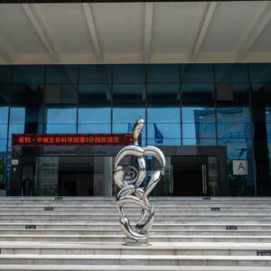 Mirror polished abstract fish statue metal craft stainless steel animal sculpture MP-O0027