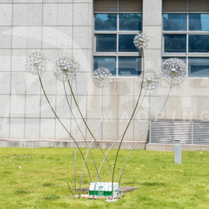 Garden  Stainless Steel Plant Dandelion Sculpture Outdoor Landscape Yard Decoration MP-O0048